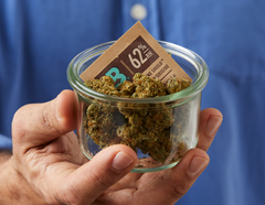 How to Properly Store Cannabis