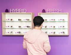 Store Highlight: Purple Tree Cannabis