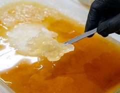 Ontario Cannabis Fieldnotes: Adults Only from Heritage Cannabis