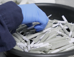 Meet Piff Pre-Rolls from Will Cannabis