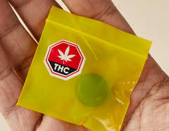 Potency of Cannabis Concentrates