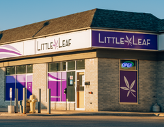 Store Highlight: Little Leaf Cannabis Co.