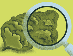 Debunking Cannabis Myths