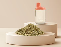 Coming Soon: New Cannabis Products for February 2026