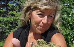 Demandez à un Bud : Magasiner par terpènes
