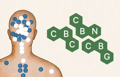 What Are Minor Cannabinoids? CBN, CBG, CBC and THCV