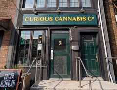 Store Highlight: Curious Cannabis Co.