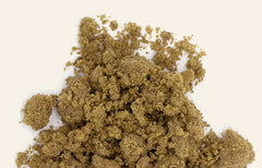 What Is Kief?