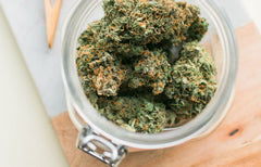 Indica vs. Sativa vs. Hybrid: What’s the Difference?