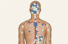 The Endocannabinoid System: What it is and how it works