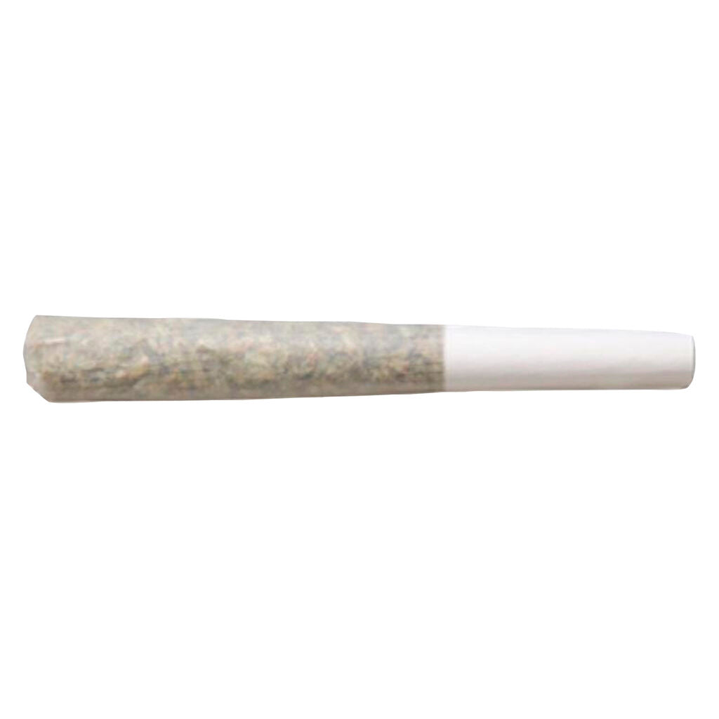 Préroulé Caps Junky - 