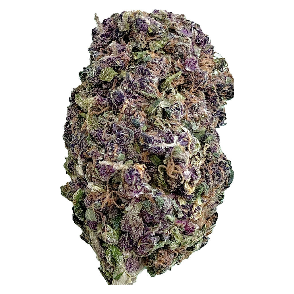 Purple Honey - True Premium Purple Buds - 