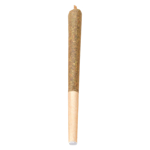 Photo Préroulé KD Kush