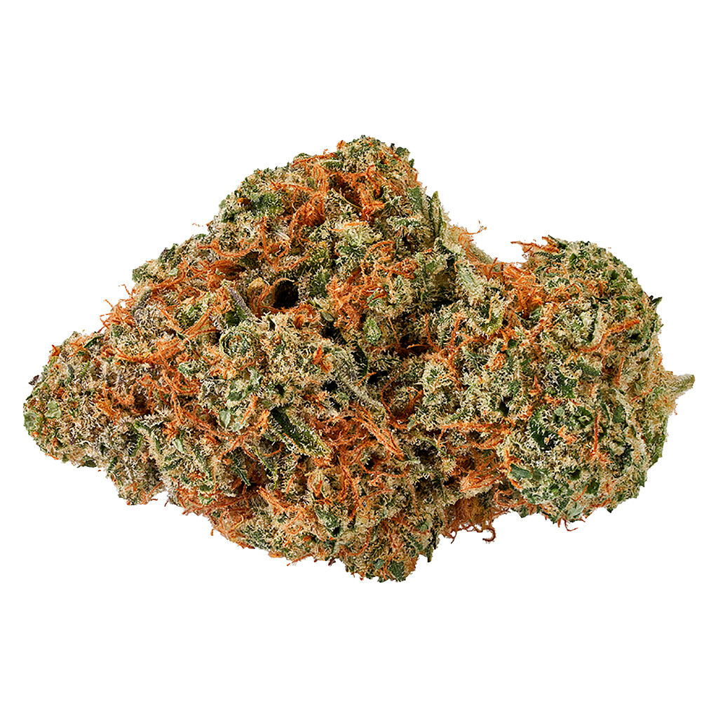 Moby Dick - 