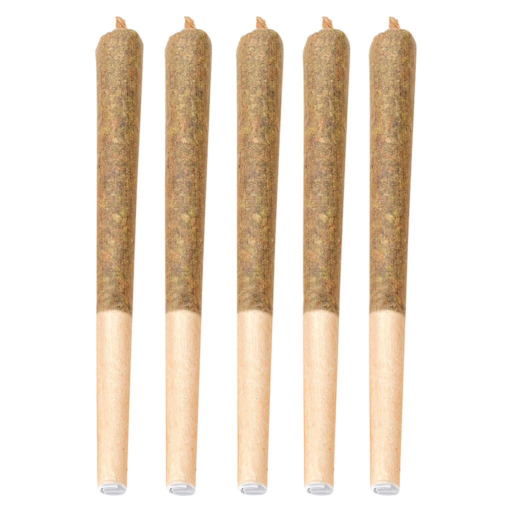 Préroulé Banana Daddy - 