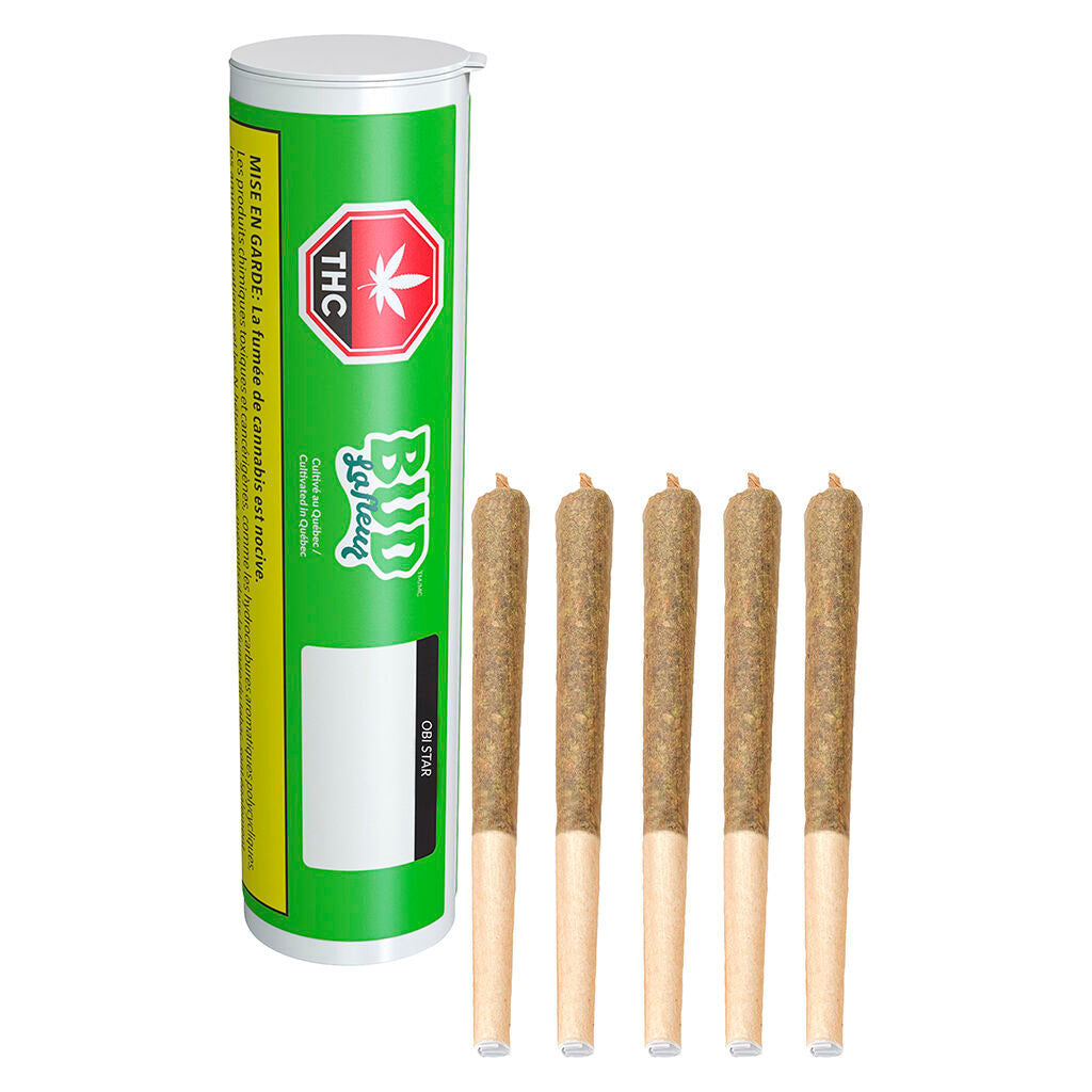 Préroulé Obi Wan Kush - 
