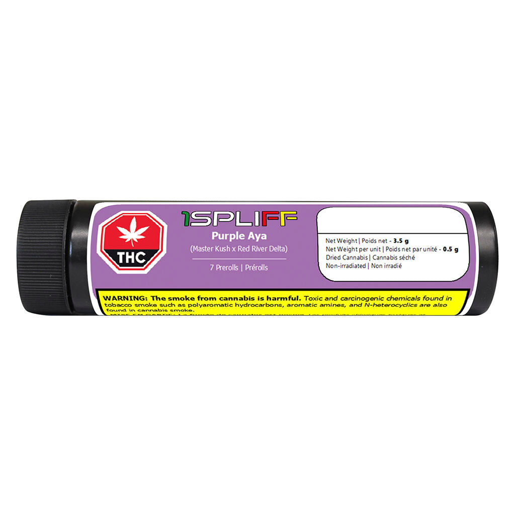Préroulé Purple Aya - 