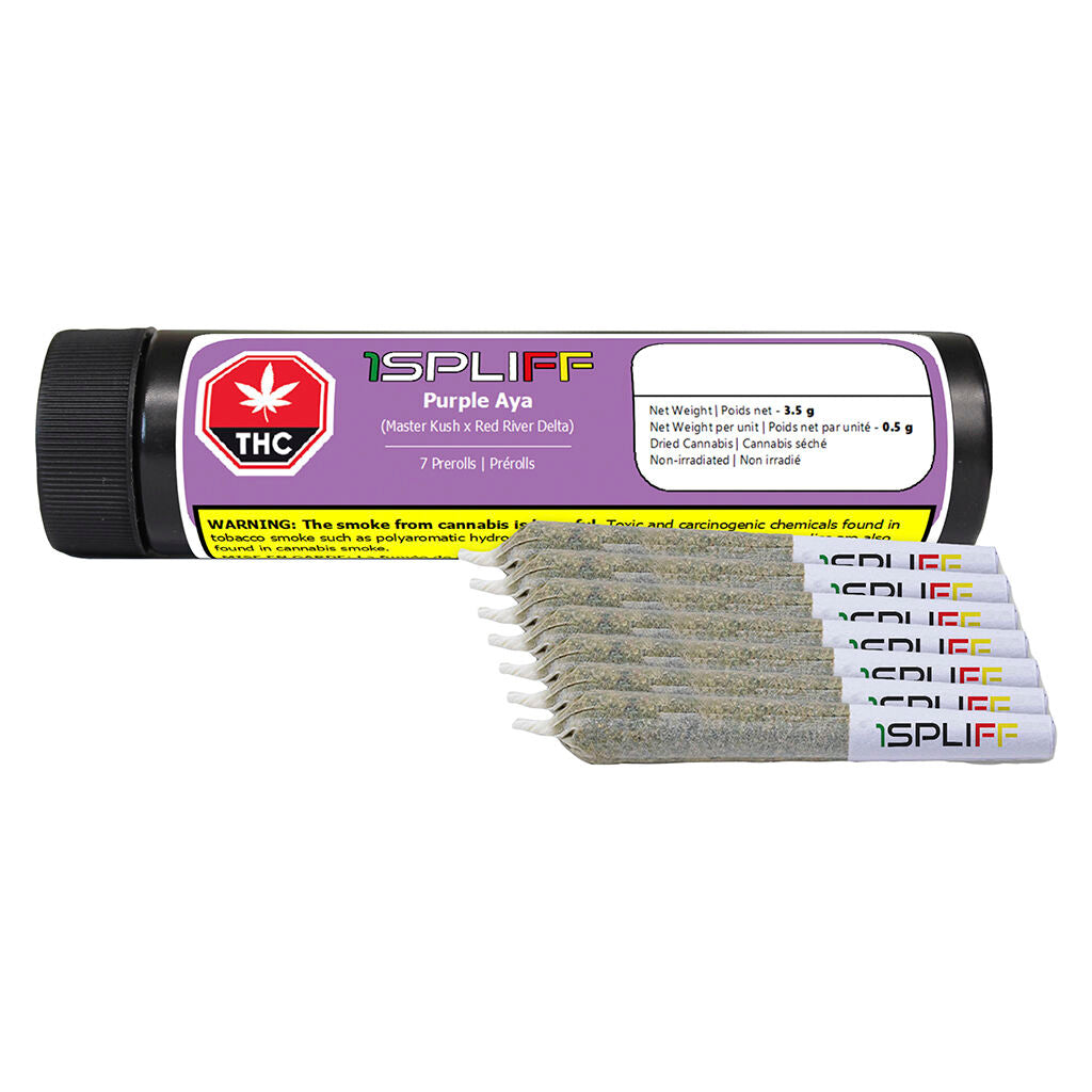 Préroulé Purple Aya - 