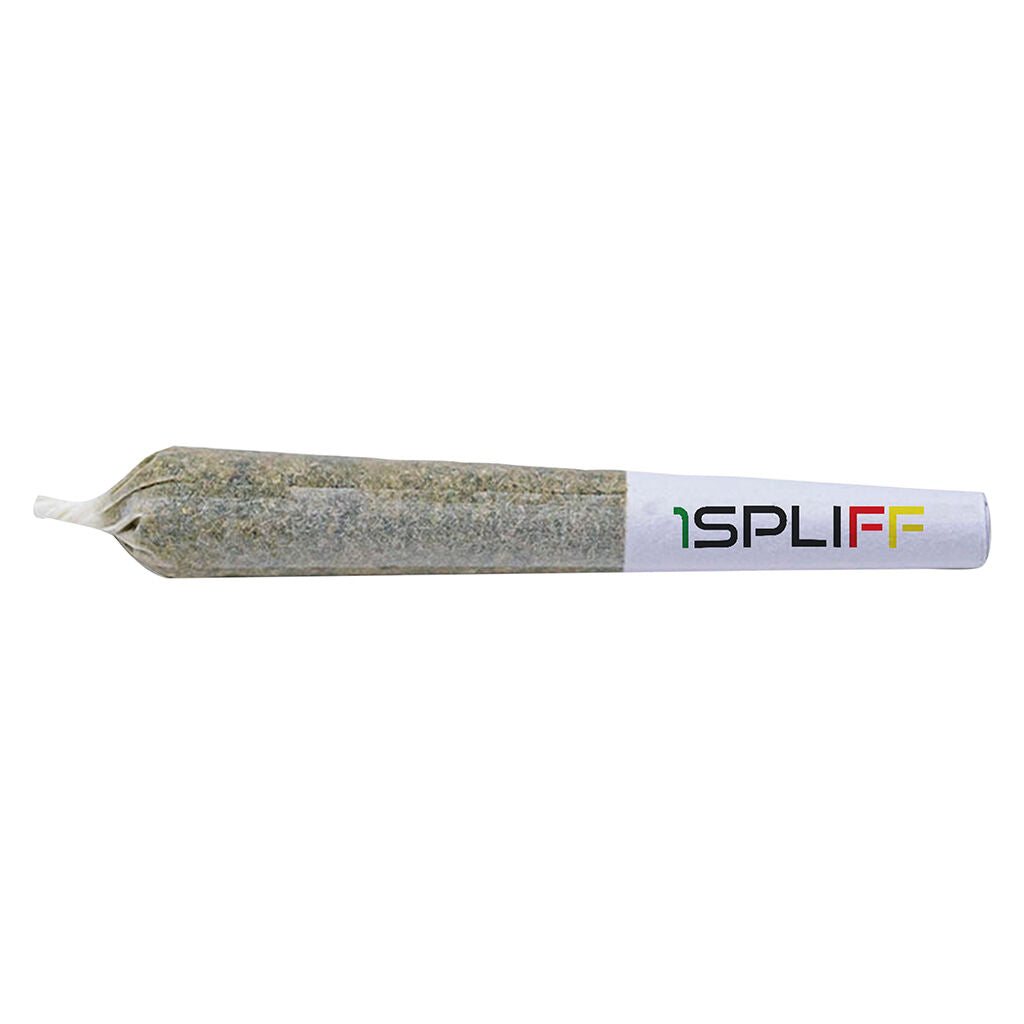 Orange Rntz Pre-Roll - 