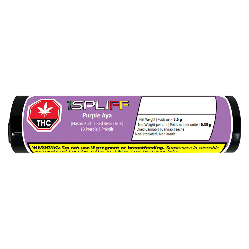 Préroulé Purple Aya - 