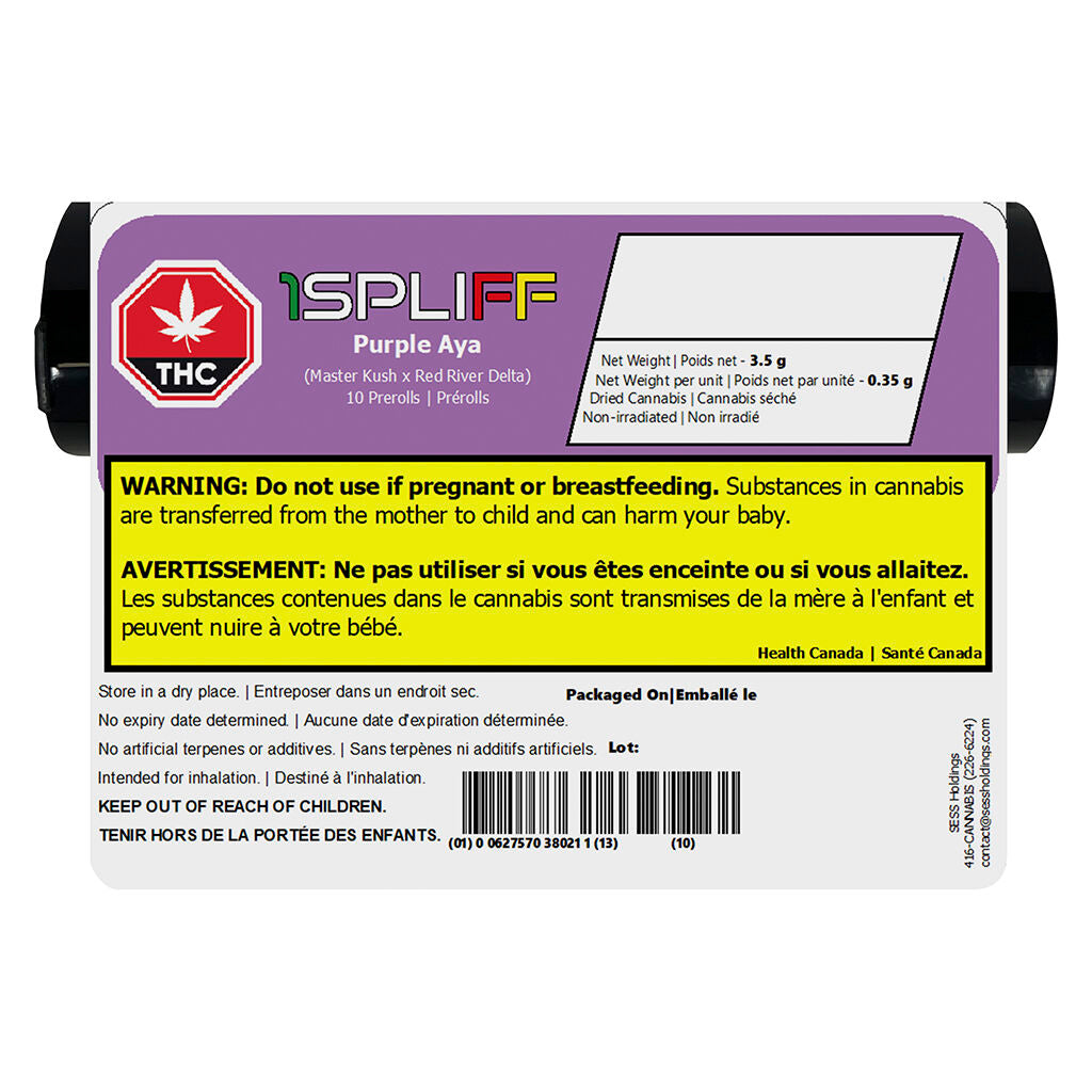 Préroulé Purple Aya - 