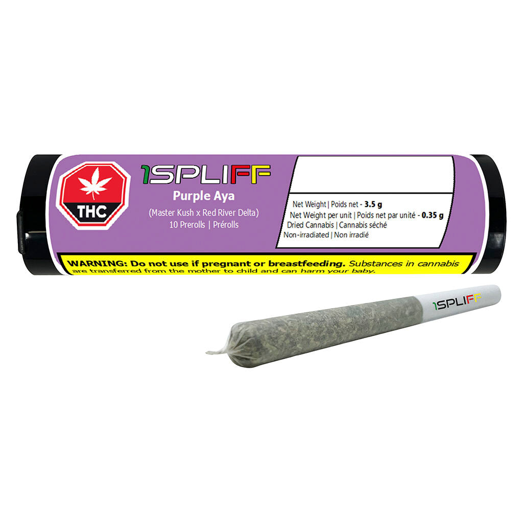 Préroulé Purple Aya - 