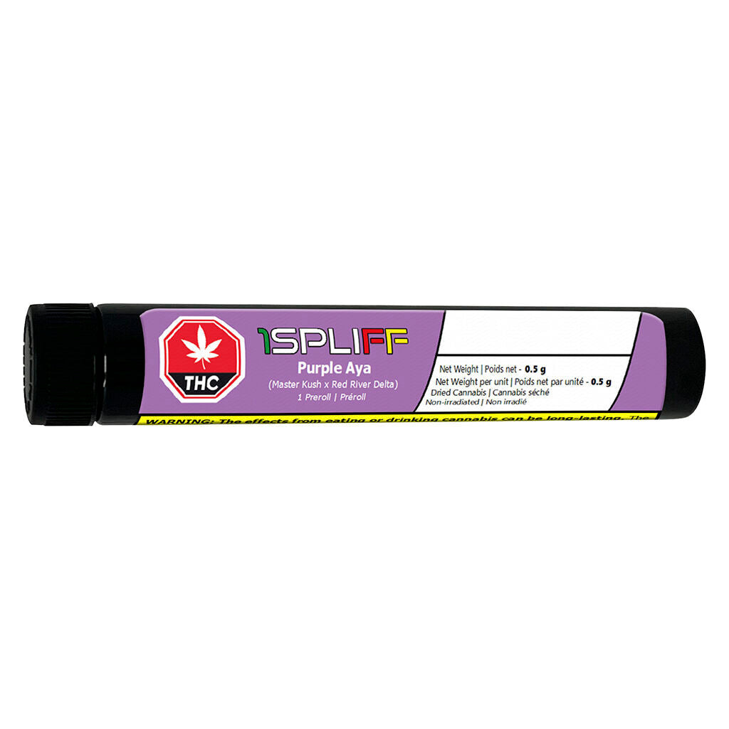 Préroulé Purple Aya - 