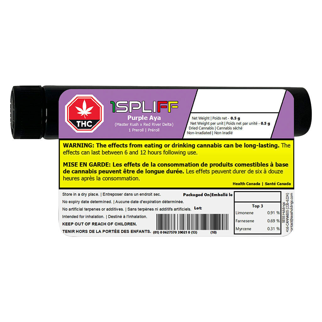 Préroulé Purple Aya - 