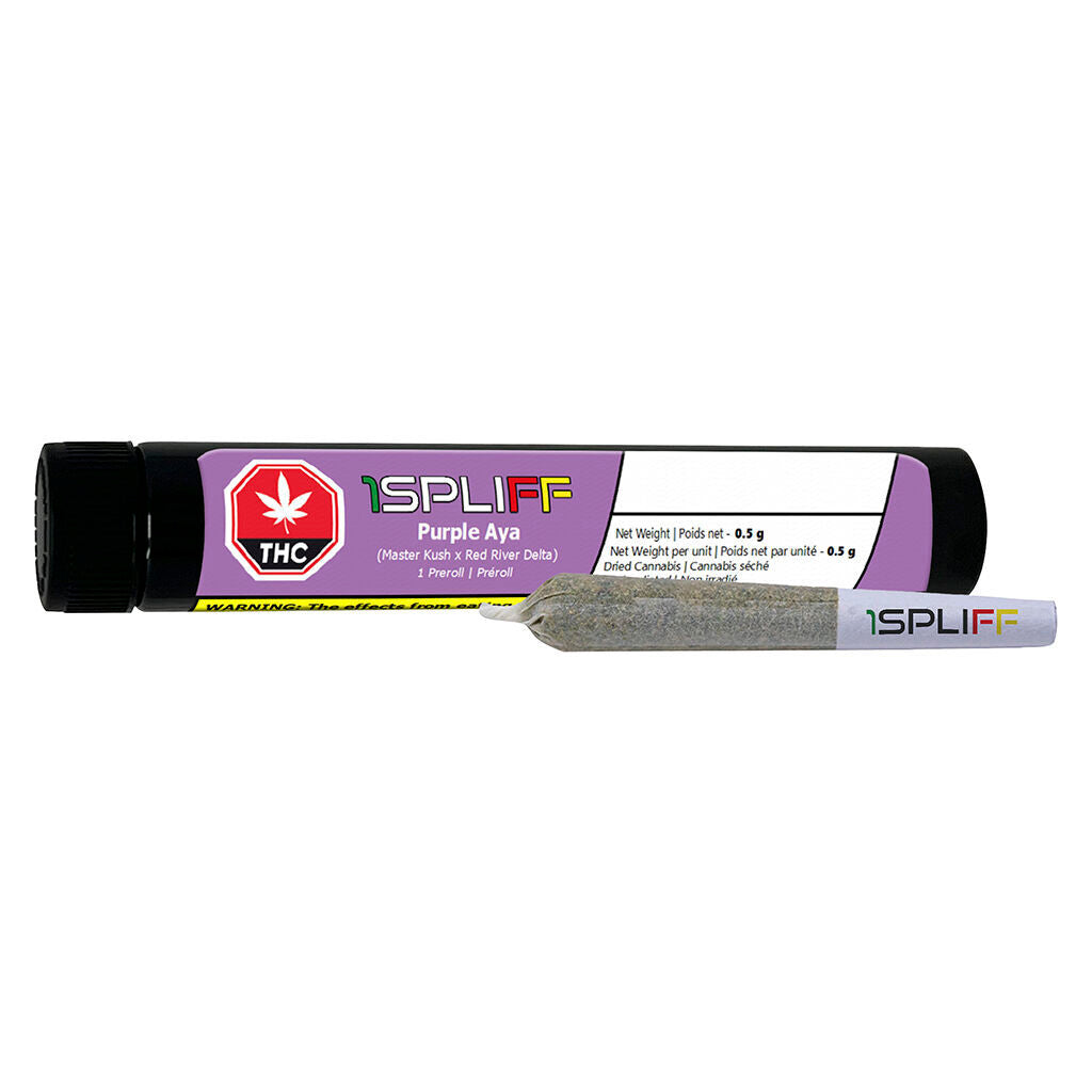 Préroulé Purple Aya - 