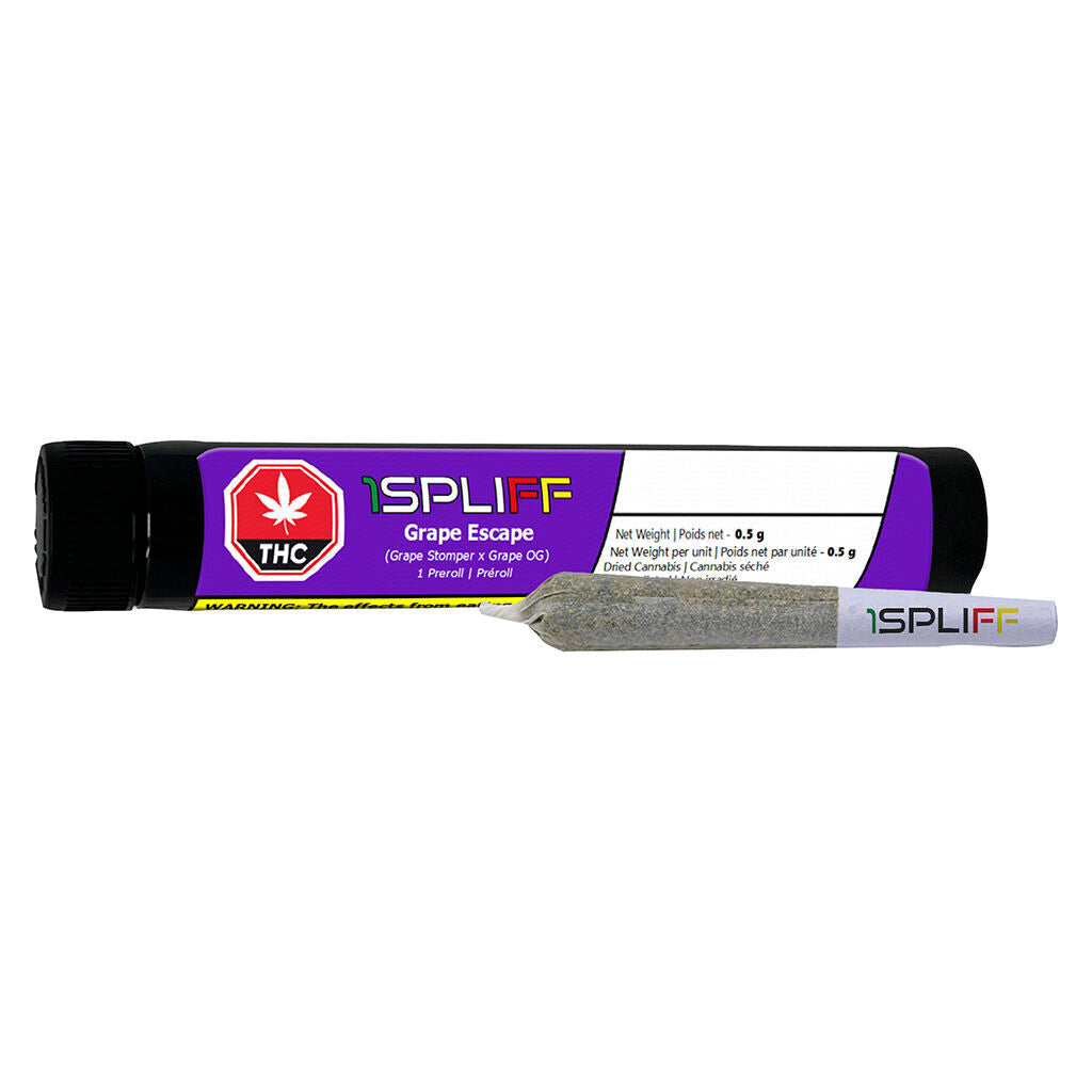 Préroulé Grape Escape - 