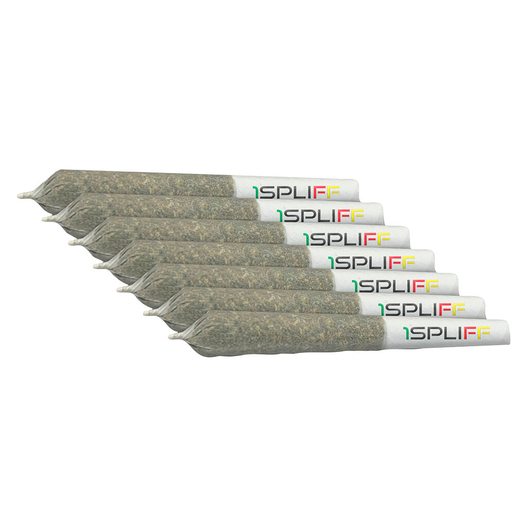 Mmmosa Evo Pre-Roll - 