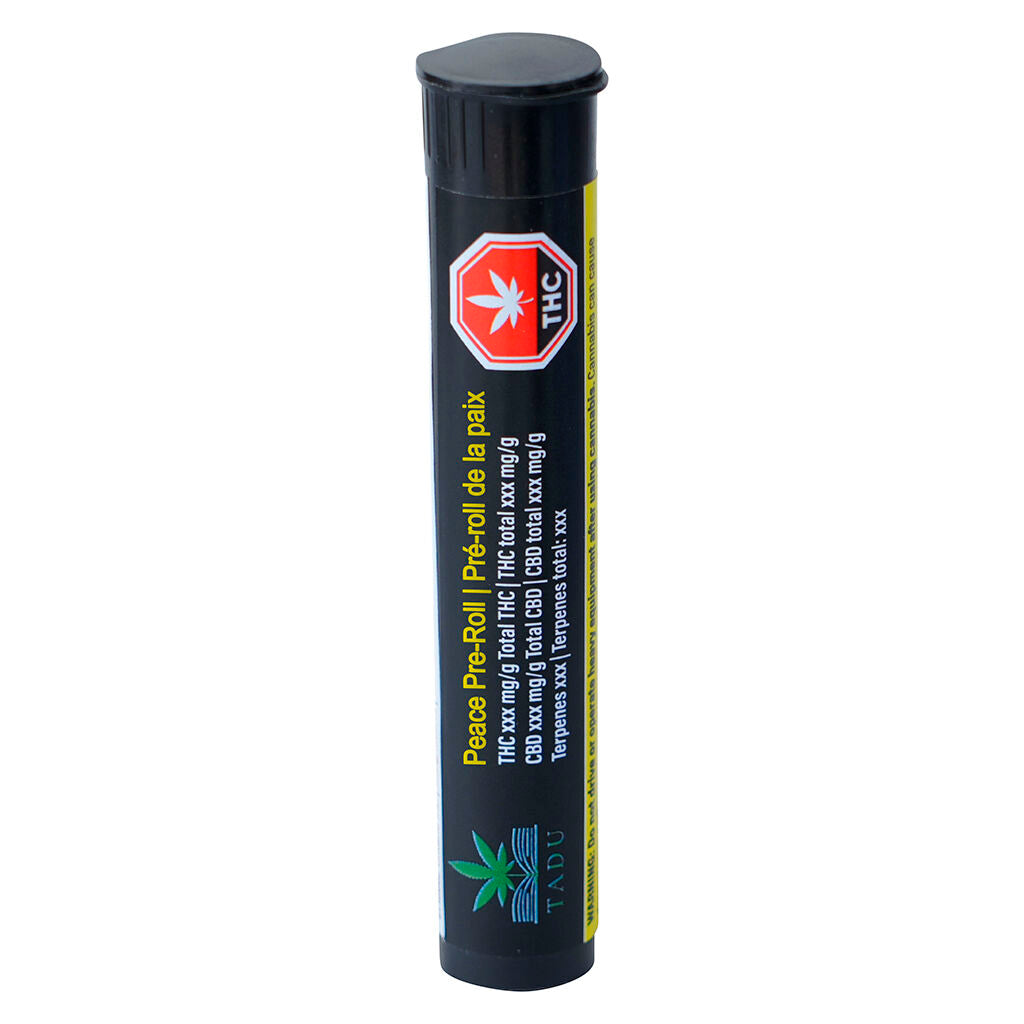 Préroulé Pre-Roll - 