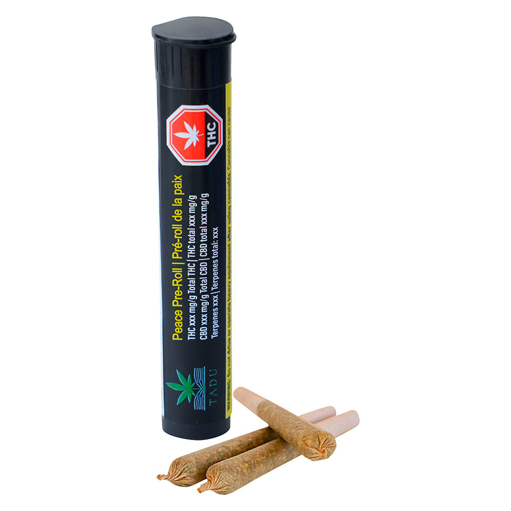 Préroulé Pre-Roll - 