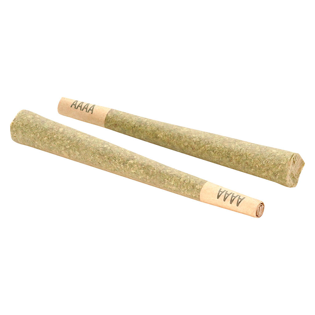 Préroulé Gelato33 - 