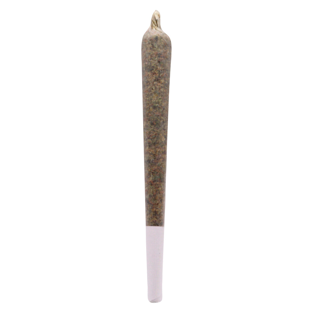 Préroulé Oceanic Premium - 