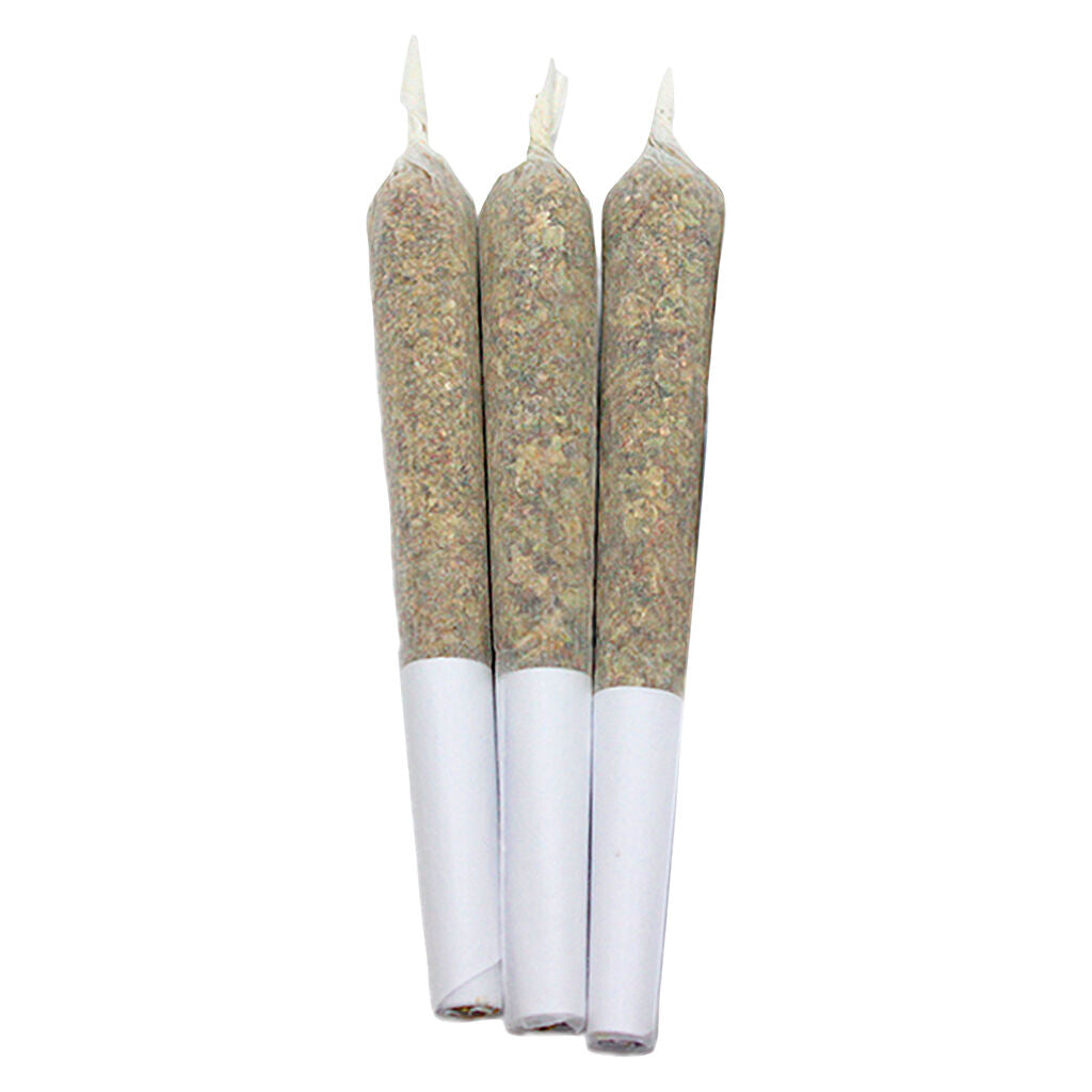Distillate de colophane vivante AMPLIFIEE Wild Watermelon Co - 