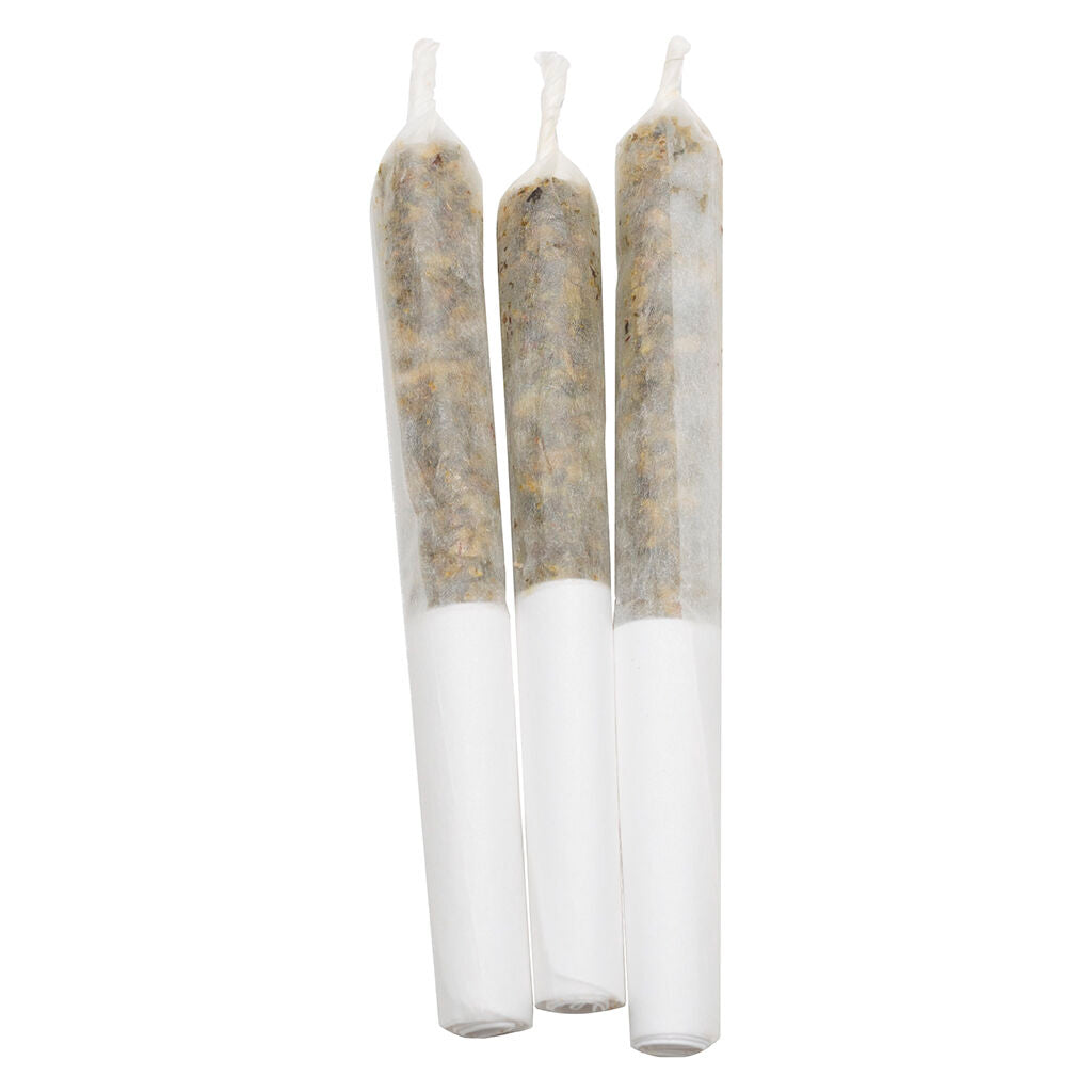 Préroulé infusé au Pineapple Coconut Escape - 
