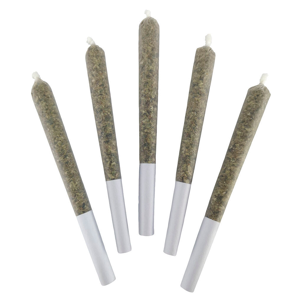 Galactica OG Pre-roll - 