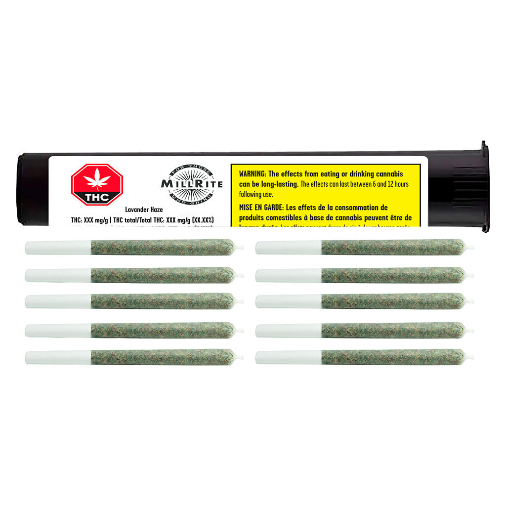 Préroulé Lavender Haze - 