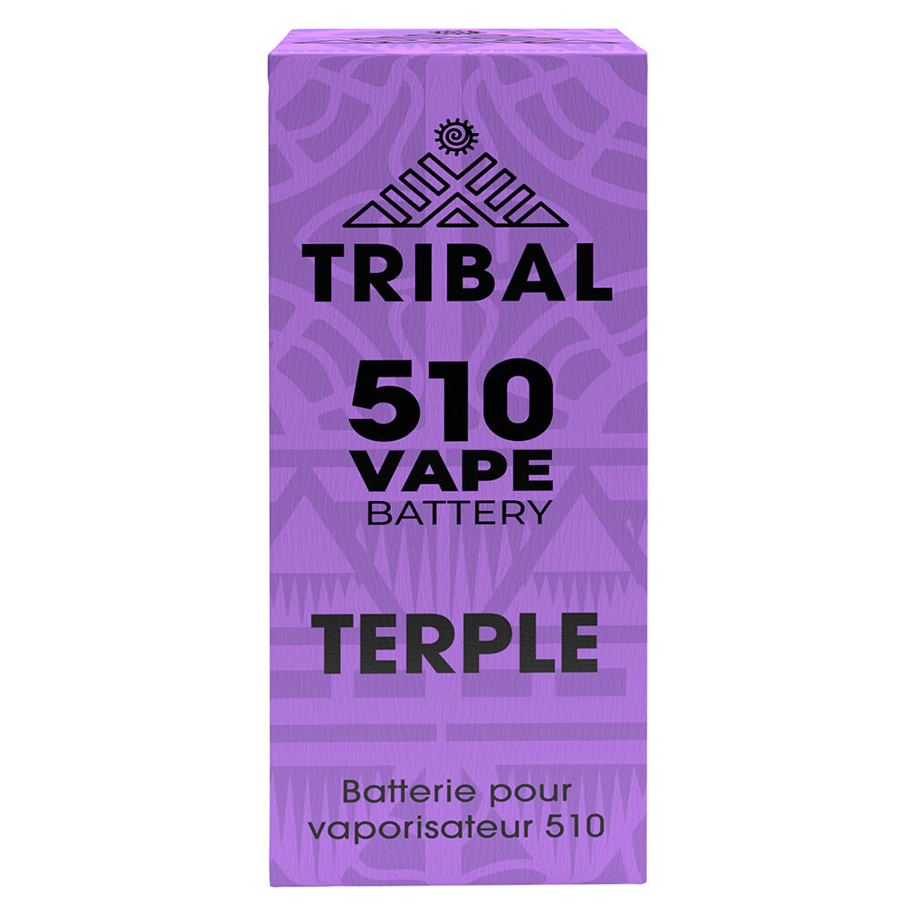 Batterie De Vaporisatuer 510 Terple - 
