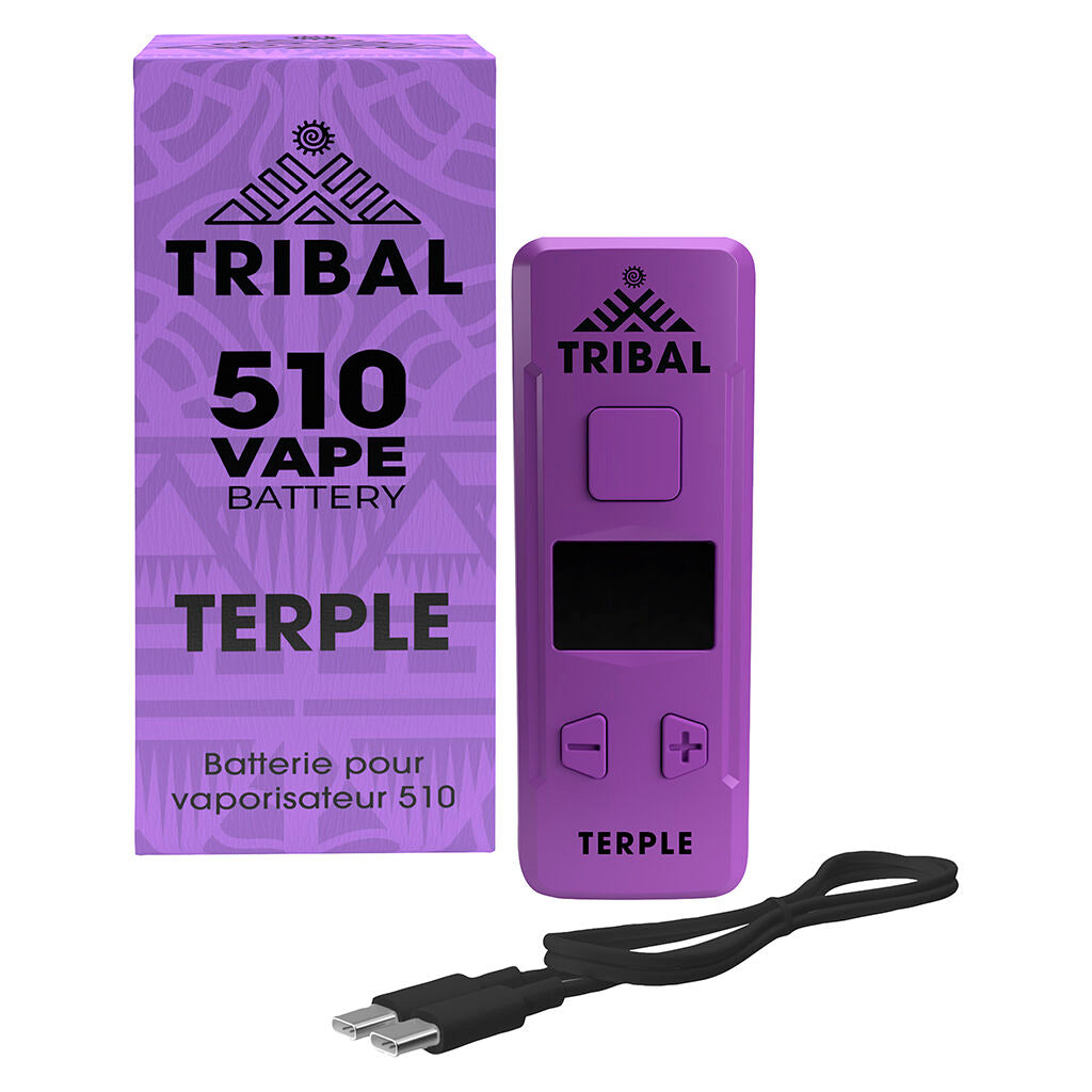 Batterie De Vaporisatuer 510 Terple - 