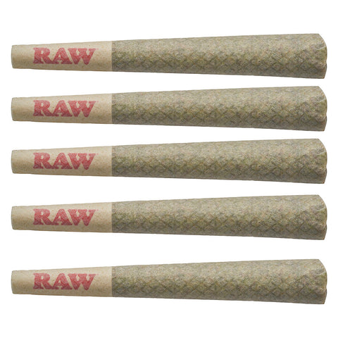 Photo Jigglers Pre-Roll
