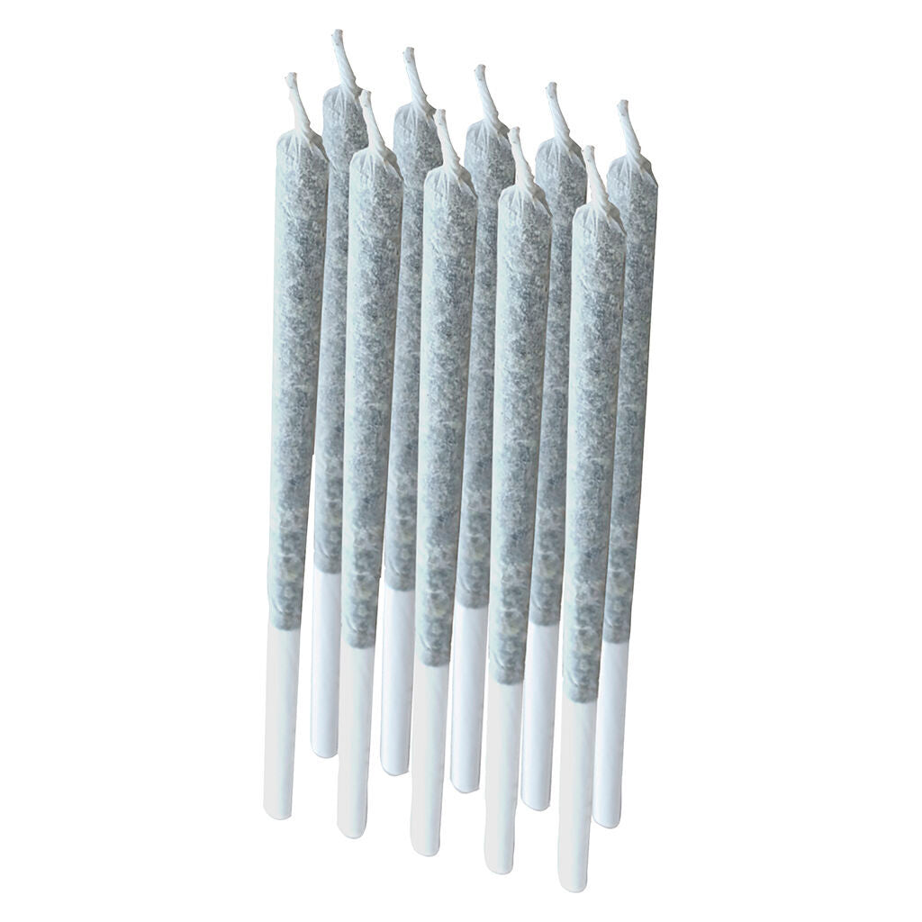 Rogue Pre-roll - 