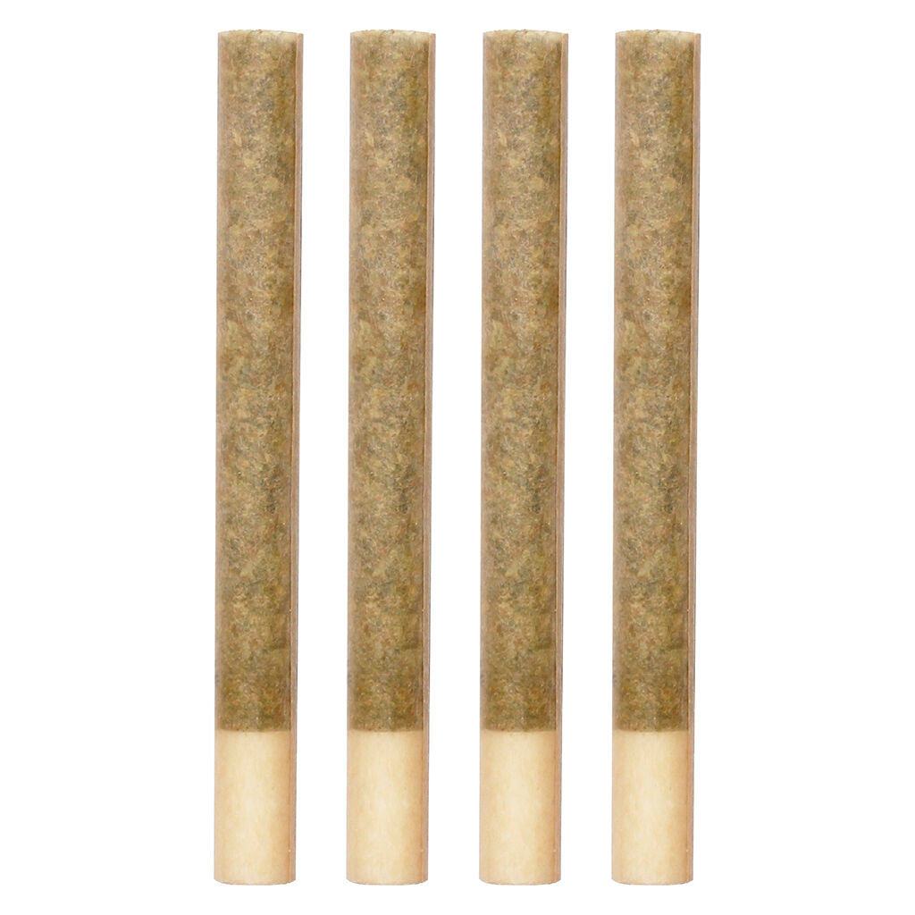 Kings+ Extreme Pre-Roll - 