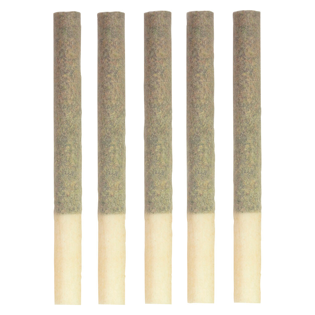 Kings - Extreme Pre-Roll - 