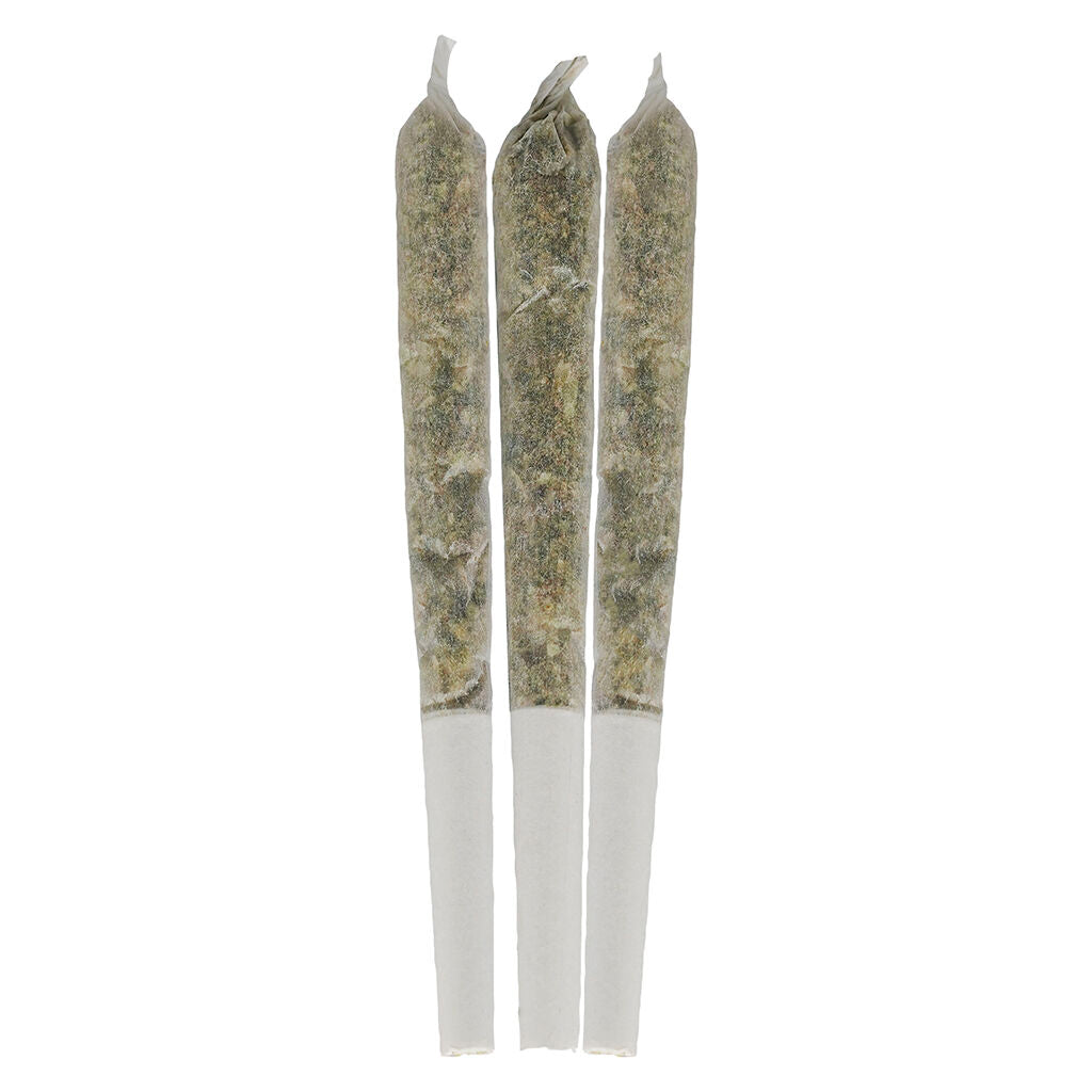 Préroulé infusé Pedro's Sweet Sativa résine vivante - 