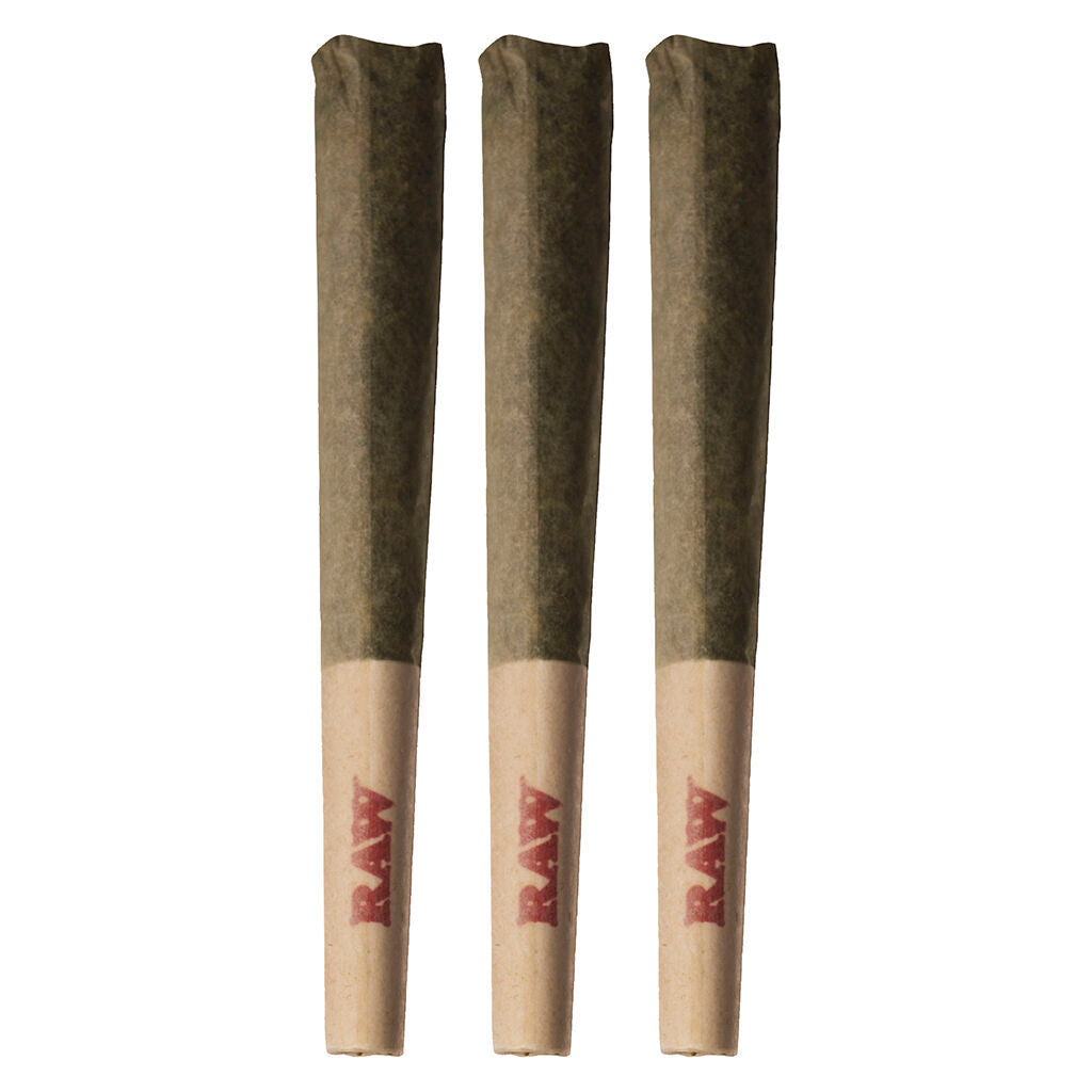 Préroulé Okanagan Sativa - 