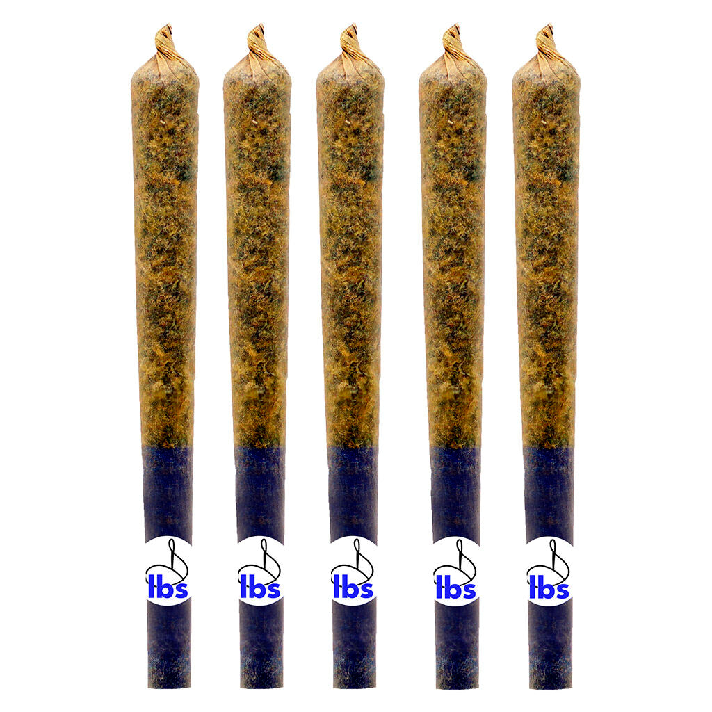 Préroulé Atomic GG 5 Pacc - 