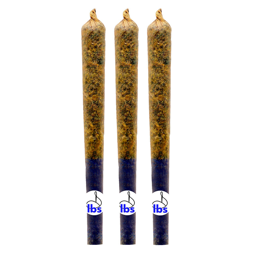 Préroulé infusé What the Fuzz - 