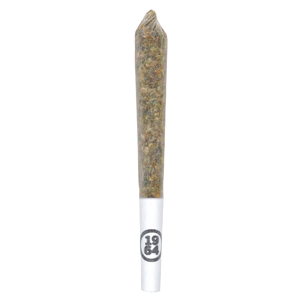Préroulé infusé Resin Roll GLTO #41 - 
